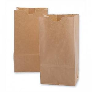 Brown Kraft Paper Gift Bags