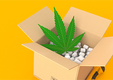 Cannabis Packaging Industry Is Expected to Reach Market value Around USD 20.41 Billion by 2025