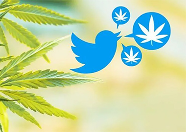 Twitter to allow cannabis advertising