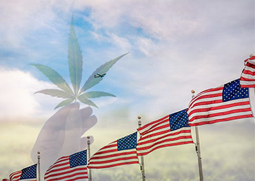 Marijuana420packaging 2021 4th Of July Weekend To Beat 420 Weed Sales