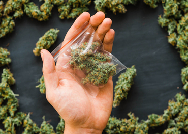 Global Cannabis Packaging Market Report 2021
