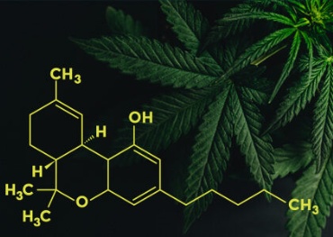 PA House passes bill in effort to legalize recreational marijuana