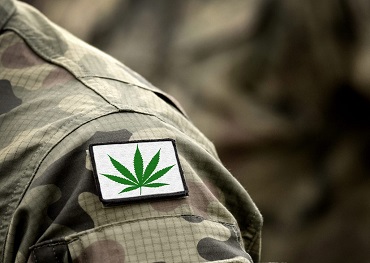 House Committee To Consider Research Bill On Medical Marijuana Benefits For Veterans