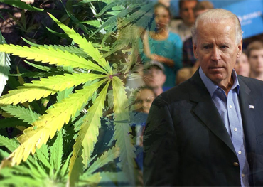 After The Election Joe Biden Probably Promotes Cannabis Legalization Federally