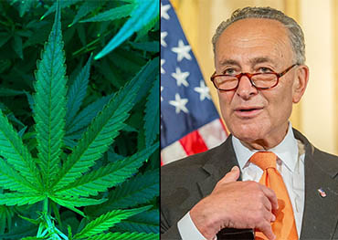 Federal Cannabis Legalization Coming near !U.S. Senate Democrats roll out draft bill to legalize weed