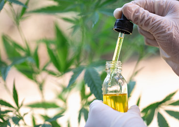 Georgia taking applications to produce ‘low-THC’ marijuana oil