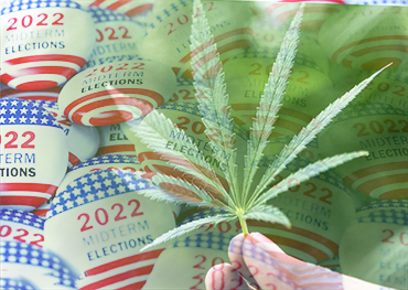 US midterms influence on legalization marijuana USA on the ballot in five states  