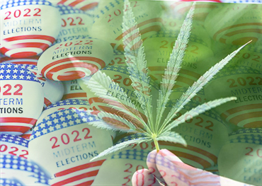 US midterms influence on legalization marijuana USA on the ballot in five states