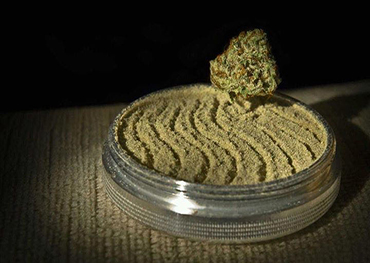 What is Kief?